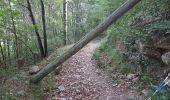 Trail Walking Breil-sur-Roya - Breuil sur Roya. col de Brouis. Tour de la cime du Bosc.  - Photo 6