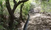 Tour Zu Fuß Telde - Barranco de los Cernícalos - Photo 9