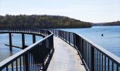 Tocht Stappen Froidchapelle - La balade du grand cerf aux lacs de l’eau d’heure  - Photo 4