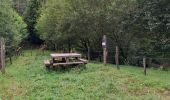 Percorso Marcia Martelange - Martelange, Bois d’Anlier, Passerelle des oiseaux - Photo 3