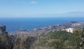 Tocht Stappen Funchal (Santa Maria Maior) - Monte par le Levada do Bom Sucesso (Rother n°2 inversé) - Photo 18