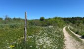 Trail  Calvisson - Balade entre Calvisson et Aigues Vives - Photo 9