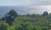 Randonnée Trail Anse-Bertrand - Porte d’enfer le littoral  - Photo 3