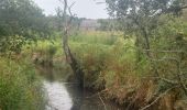 Trail Walking Landaul - PR_56_Landaul_BA_02_Moulin-Demi-Ville-Et-Listoir_Circuit4a_20260714 - Photo 11
