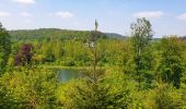 Excursión Senderismo Braives - De Fumal à Huccorgne par la vallée de la Mehaigne - Photo 10