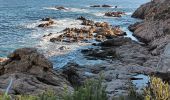 Percorso Marcia Ramatuelle - cap Camarat-golfe St Tropez-03-12-21 - Photo 2