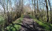 Trail Walking Dalhem - dalhem - Balade 5 - feneur  - Photo 6