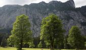 Percorso A piedi Liezen - Zur kleinen Schale-Runde - Photo 10