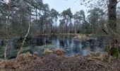 Tour Wandern Fontainebleau - Belle Croix  - Photo 3