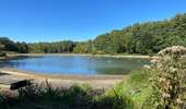 Randonnée Marche Saint-Arnoult-en-Yvelines - St Arnault - Sonchamp - Photo 2
