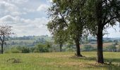 Percorso Marcia Aubel - Aubel 17 km - Photo 10