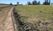 Randonnée Marche La Roche-en-Ardenne - Un petit tour dans les fagnes de la goutte en partant de Samree  - Photo 3