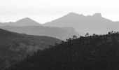 Tour Wandern Fréjus - Pk MF du Malpey - Piste des Malavalettes par Carrefour Roche Noire - Photo 2