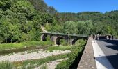 Randonnée Marche Avène - Avène La plaine de Sadde - Photo 2