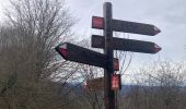 Trail Walking Sare - Lizarrieta,  Zentinel, col des 3 bornes,  2024 03 04. - Photo 2