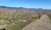 Tour Wandern Mittelweier - Les perles du vignoble  : Mittelwihr - Beblenheim - Zellenberg - Hunawihr - Riquewihr. - Photo 4