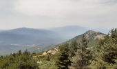 Randonnée Marche L'Albère - col de l ullat . puig d orella . puîg sant cristau . col de l ullat - Photo 11