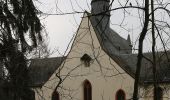 Tour Zu Fuß Rüdesheim am Rhein - Rundwanderweg Tanne - Photo 7