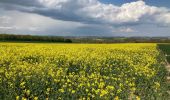 Trail Walking Ferrières - FERRIERES - Photo 2