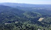 Tour Wandern Orcines - Le puy de dôme  - Photo 5