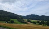 Excursión Bicicleta híbrida La Neuveville-devant-Lépanges - Sortie vélo 21 juillet  - Photo 1