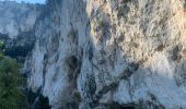 Excursión Senderismo La Palud-sur-Verdon - Blanc Martel - Photo 1