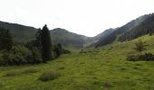 Randonnée Marche Cauterets - Plateau du Lisey - Photo 6