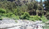 Trail On foot El Paso - Wikiloc - Caldera de taburiente Los Brecitos to Parking Barranco de las Angustias - Photo 11