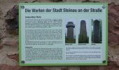 Tocht Te voet Steinau an der Straße - Steinauer Hochgefühl ( Spessartfährten ) - Photo 4