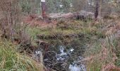 Tour Wandern Fontainebleau - Bas Breau  - Photo 2