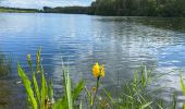 Tour Wandern Condé-sur-l'Escaut - Condé sur l’Escaut 15,4 km - Photo 11