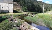 Tour Wandern Peyre en Aubrac - BOUCLE AU DEPART DE FAU DE PEYRE - Photo 9