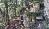 Randonnée Marche Le Valtin - Sentier des roches - Photo 8