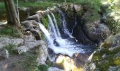 Tocht Stappen Naussac-Fontanes - Lac de Naussac (05 07 2020) - Photo 12