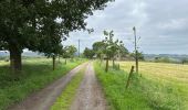 Tocht Stappen Halle - Lembeek 27 km - Photo 9