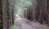 Tour Zu Fuß Gomadingen - Querweg - Oberdigisheim - Weg Nr. 1 - Oberdigisheim - Baienberg - bis zur Weggabelung - Photo 8