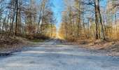 Randonnée Marche Lacroix-Saint-Ouen - en forêt de Compiègne_45_sur les Routes de Morienval et de Champlieu - Photo 6