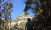 Trail Walking Sales de Llierca - Sadernes Sant Aniol  - Photo 13