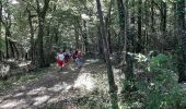 Tour Wandern Vouthon - De Vouton en passant par Montbron avec retour par La Fenêtre  - Photo 5