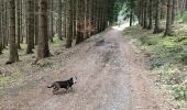 Percorso A piedi Theux - SityTrail - La Reid - Photo 6
