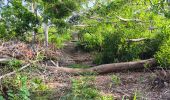 Trail Walking Pamandzi - GR1 PAMANDZI - PETITE TERRE / MAYOTTE - Photo 2