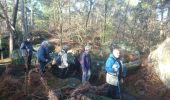 Trail Walking Fontainebleau - rocher d'Avon 13 janvier 2023  - Photo 13