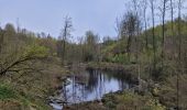 Trail Walking Houffalize - rando wibrin 22-04-2024 - Photo 14