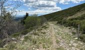 Excursión Senderismo Loubaresse - Loubaresse Nord 5,2 km - Photo 1