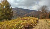 Trail Walking Lecumberry - Iraty Arpia 2020 - Photo 1