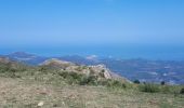 Trail Walking Vallica - Vallica col de Battaglia pioggiola omni-cappela - Photo 1