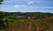 Tour Zu Fuß Marcillac-Vallon - Le Puech du Cayla - Photo 7