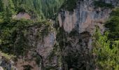 Tour Wandern Hayden - J2 Dolomites - Photo 2
