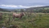 Tocht Noords wandelen Saint-Pierre-de-Nogaret - SityTrail - Le Brouillet - Cascade du Saltou - Photo 17