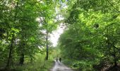 Tocht Stappen Clavier - Saint-Fontaine - Ossogne - Photo 12